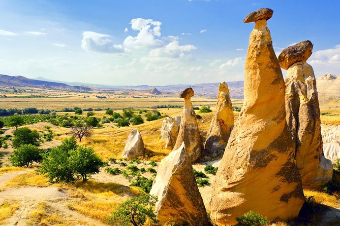 Tour of Turkey in 10 Days From Istanbul With Ephesus and Cappadocia - Day 1: Arrival in Istanbul