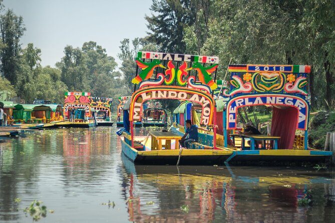 Tour of Xochimilco and Coyoacán, leaving from Mexico City - Good To Know