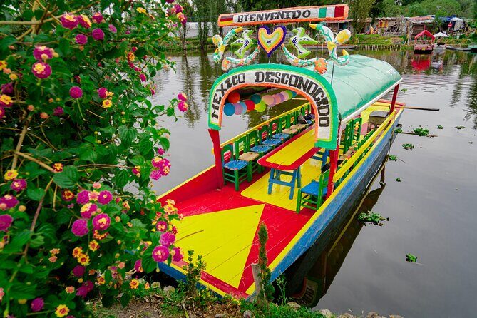 Tour of Xochimilco and Coyoacán, leaving from Mexico City - FAQ: Your Questions Answered