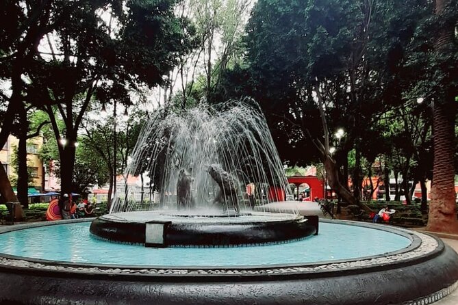 Tour of Xochimilco and The World of Frida Kahlo - Traveler Photos and Reviews