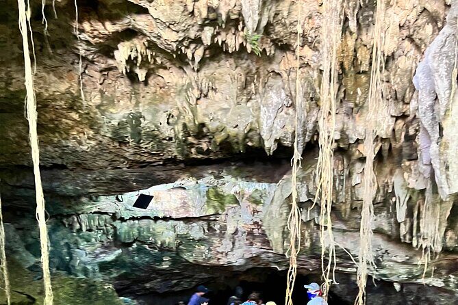 Tour on Buggy Off-Road Aventure in the Nature - What’s Included and What’s Not