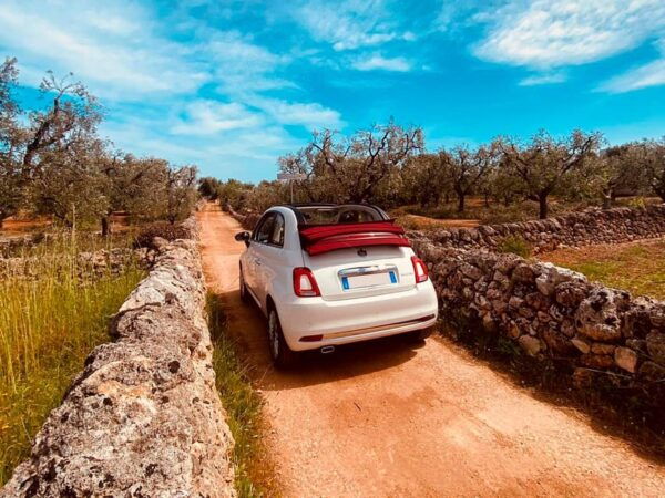 Tour on Fiat 500 Cabriolet of Bari, Monopoli and Alberobello - Vehicle Experience