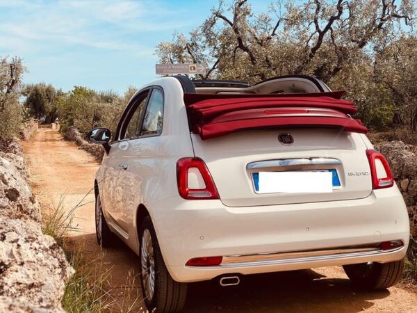 Tour on Fiat 500 Cabriolet of Bari, Monopoli and Alberobello - Travel Tips