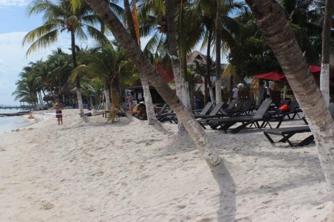 Tour on Isla Mujeres Catamaran - Experience Highlights