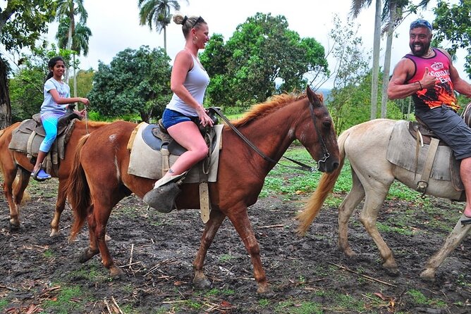 Tour Pack - Horseback Ride, City Tour, Safari, Zipline, Dune Buggies - Safety Concerns With Dune Buggies