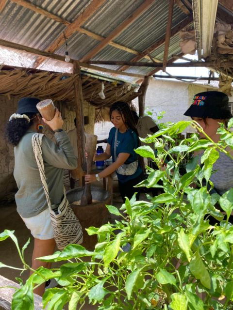 Tour Palenque With Natives - Meet the Natives
