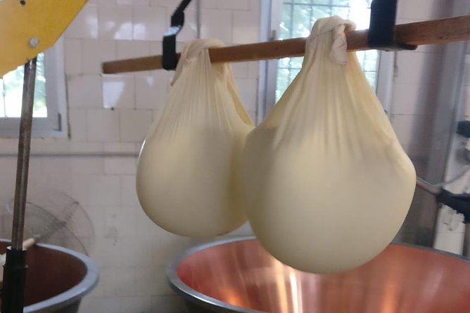 Tour Parmigiano Reggiano Dairy and Parma Ham - Meeting and Pickup