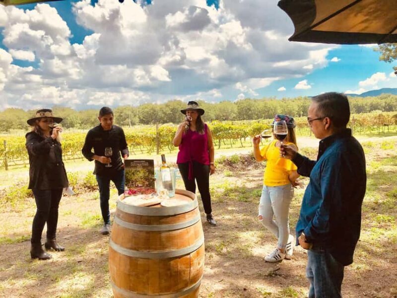 Tour "Parras de la Fuente" + Guía + Traslados + Tickets - Who Is This Tour Best For?