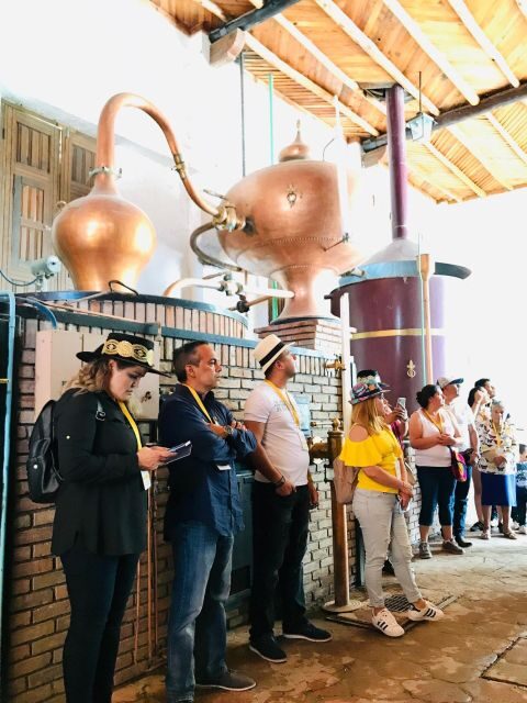 Tour "Parras de la Fuente" + Guía + Traslados + Tickets - FAQs