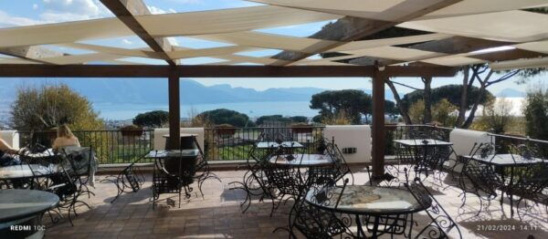 Tour Pompeii and Vesuvius Winery Experience From Naples - The Sum Up