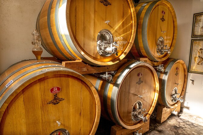 Tour Pompeii Ruins and Winery Lunch Included - Weather and Cancellation Policy