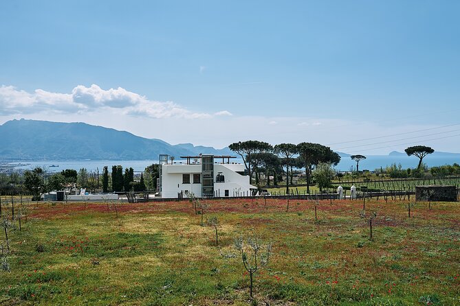 Tour Pompeii Ruins and Winery Lunch Included - Reviews and Ratings