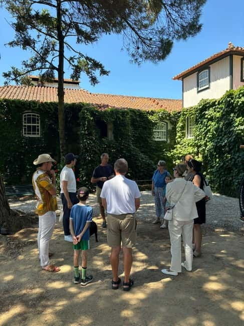 Tour Premium no Douro: Vinho, Cruzeiro e Comida Tradicional - Analyzing the Value