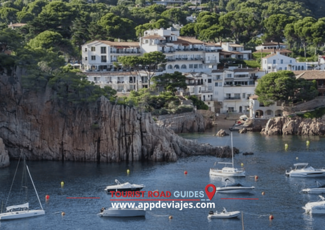 Tour Private Boat, Costa Brava & Lunch - Activities and Highlights