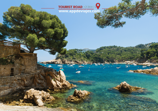 Tour Private Costa Brava Diving & Lunch - Main Diving Activity