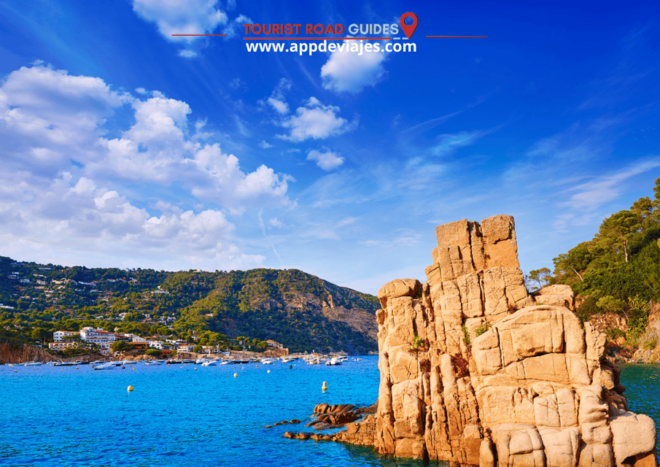 Tour Private Costa Brava Diving & Lunch - Diving Depth and Drop-off Locations