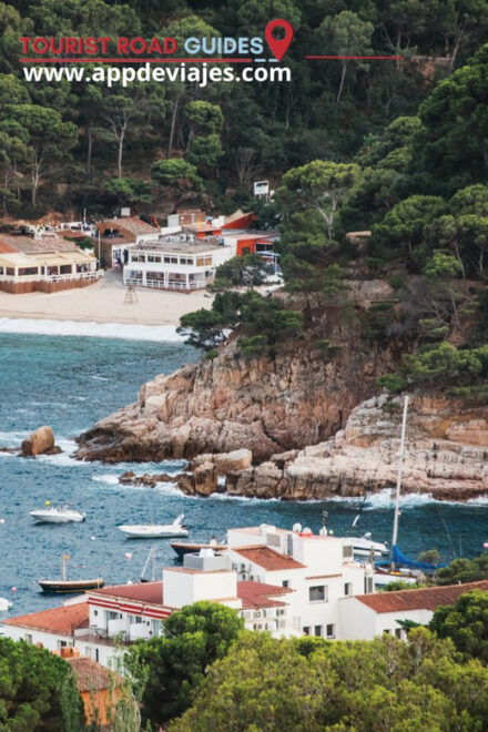 Tour Private Costa Brava Diving & Lunch - Typical Regional Lunch