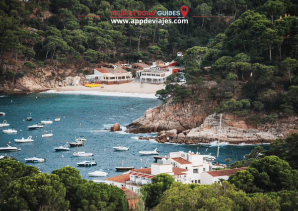 Tour Private Costa Brava Diving & Lunch - Exclusions From Tour Package