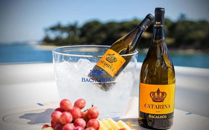 Tour Private Wine Tasting - Who Is This Tour Best For?