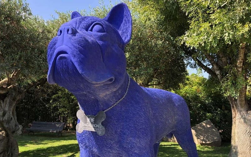 Tour Private Wine Tasting - FAQ