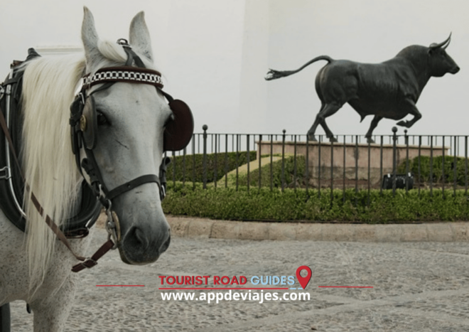 Tour Ronda - Spain Self-Guided Tour App - Customizing Your Tour