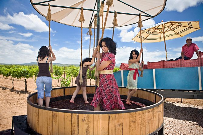 Tour Route of Art, Cheese and Wine Experiences Rio Tequisquiapan - Cultural Landmarks and Heritage Sites