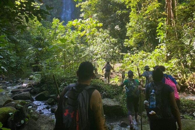 Tour Shaman Medicinal Plants and Waterfalls - Tour Highlights