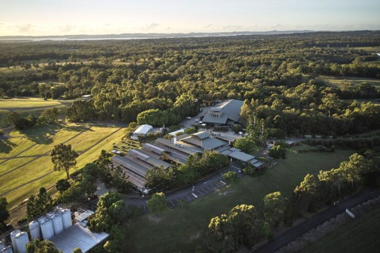Tour, Taste, and Lunch at Cellar Door - Booking Information