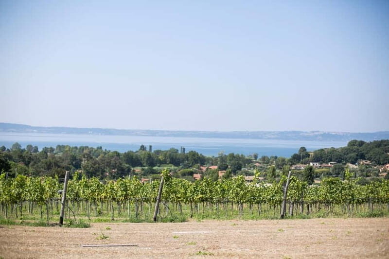 Tour & Tasting at Cantine Capitani - Introducing the experience