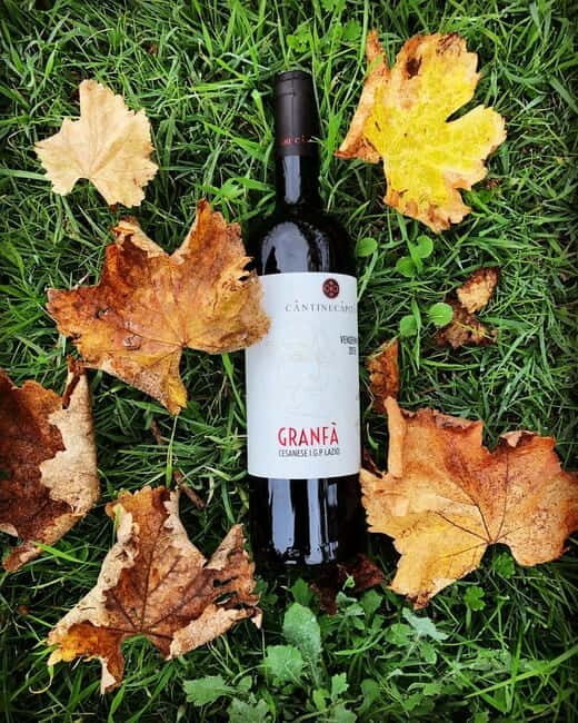 Tour & Tasting at Cantine Capitani - The detailed itinerary