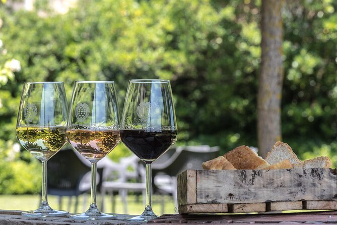 Tour & Tasting - Expectations & Accessibility