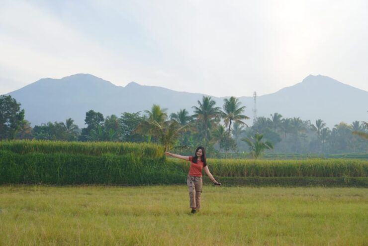 Tour Tete Batu : Culture, Rice Terrace & Waterfalls - Itinerary Highlights