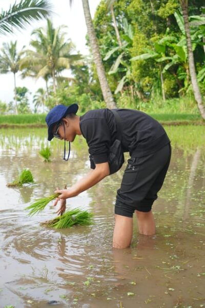 Tour Tete Batu : Culture, Rice Terrace & Waterfalls - Important Information
