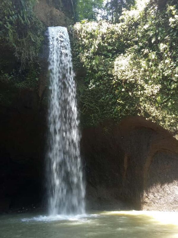 Tour the island of Bali with expert tour guides in Spanish. - A Closer Look at the Itinerary