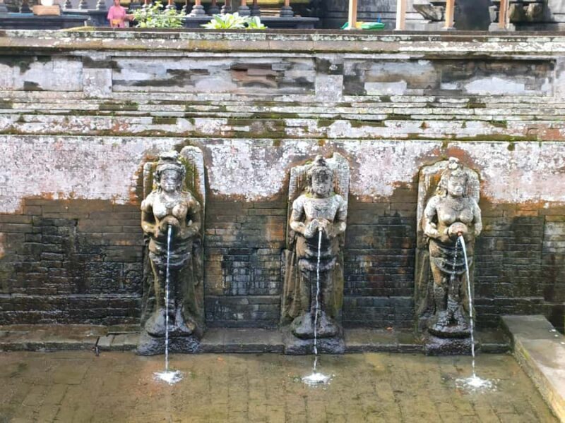 Tour the island of Bali with expert tour guides in Spanish. - What Reviewers Keep Highlighting