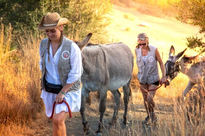 Tour the Sanctuary and Walk With the Donkeys and Share Their Love - Directions to Donkey Dreamland