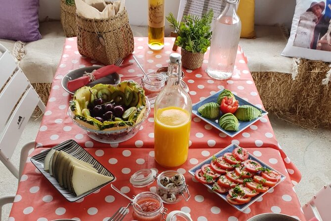 Tour the Sanctuary and Walk With the Donkeys and Share Their Love - Tips for a Memorable Experience