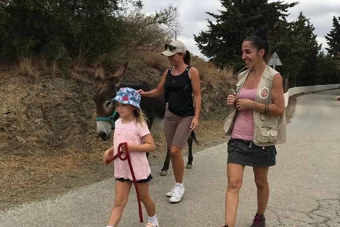 Tour the Sanctuary and Walk With the Donkeys and Share Their Love - Common Questions