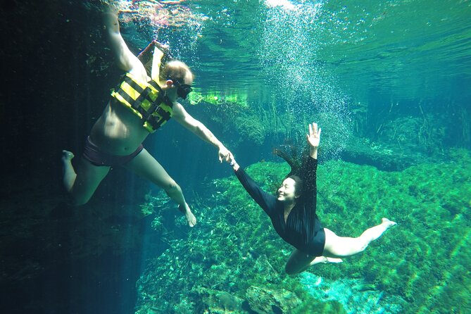 Tour to 4 Private Cenotes in Our Community - The Sum Up
