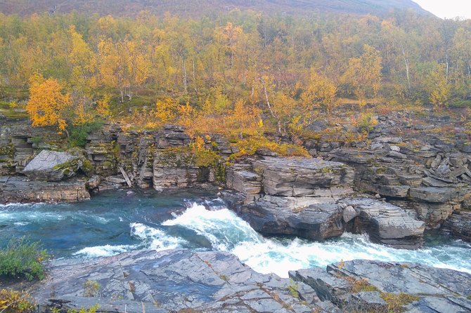 Tour to Abisko National Park - Tour Overview