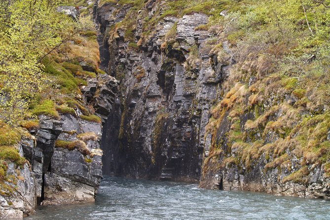 Tour to Abisko National Park - Tour Details