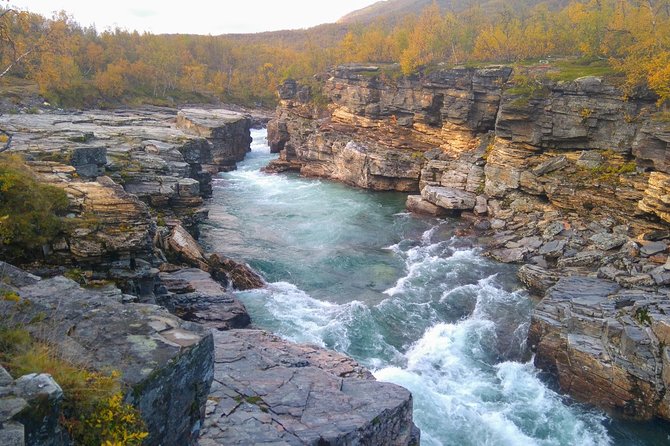 Tour to Abisko National Park - The Sum Up