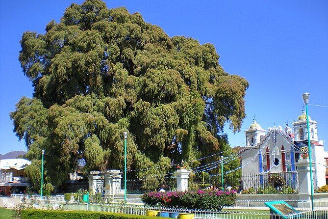 Tour to artisan towns of Oaxaca - Who Will Love This Tour?