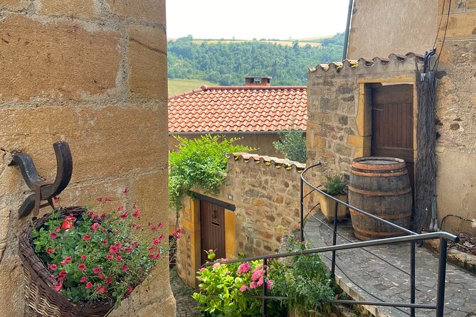Tour to Beaujolais and Wine Treasures From Lyon - Exploring the Vineyards of Beaujolais