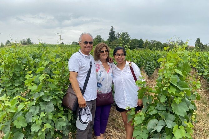 Tour to Beaujolais and Wine Treasures From Lyon - Tasting the Finest Wines in Lyon