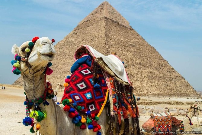 Tour to Cairo and the Pyramids From EL Gouna by A/C Vehicle - Key Highlights in One Day