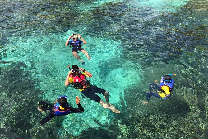 Tour to Catalina Island With Snorkeling From Punta Cana - Tour Itinerary