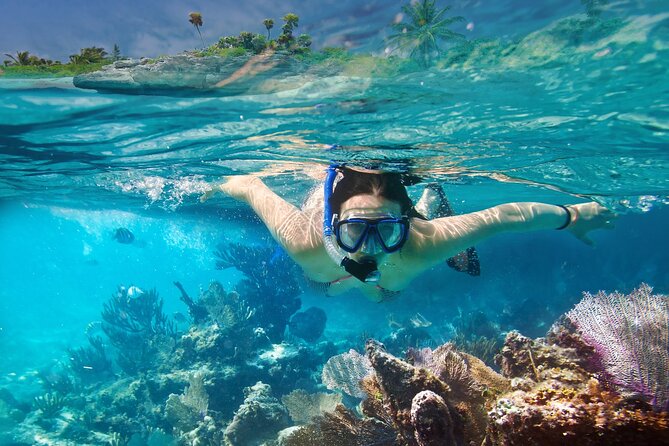 Tour to Catalina Island With Snorkeling From Punta Cana - Snorkeling Experience