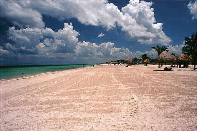 Tour to Celestun and see the flamingos - Practical Details: What to Expect from the Tour