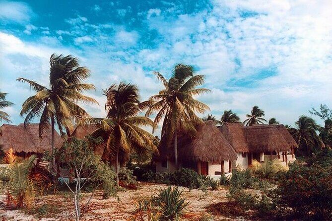 Tour to Celestun and see the flamingos - FAQ